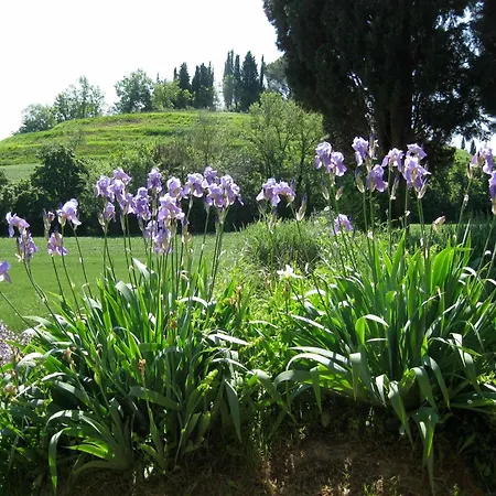 Il Caio Cetona