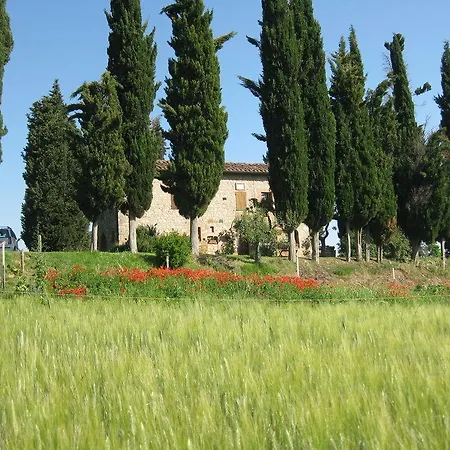 Il Caio