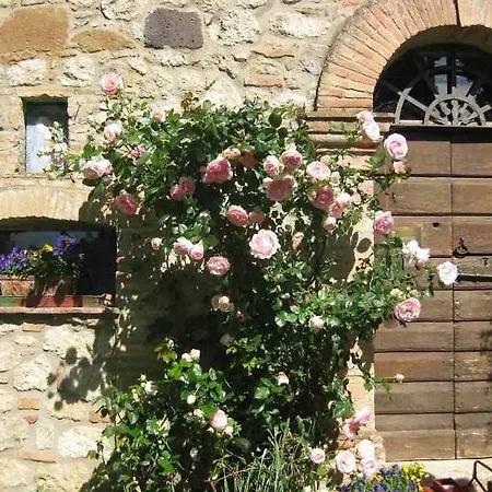 Il Caio * Cetona