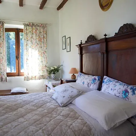 Il Caio Nyaraló Cetona