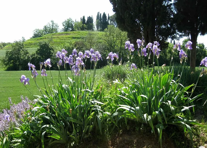 Il Caio Cetona