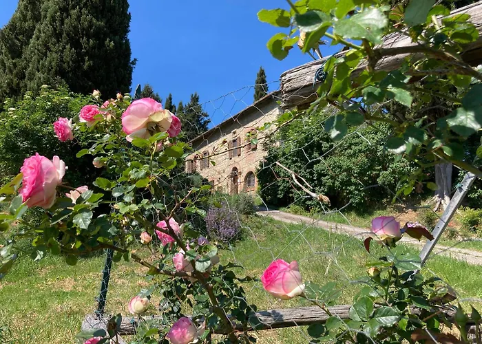 Il Caio Vakantiehuis *