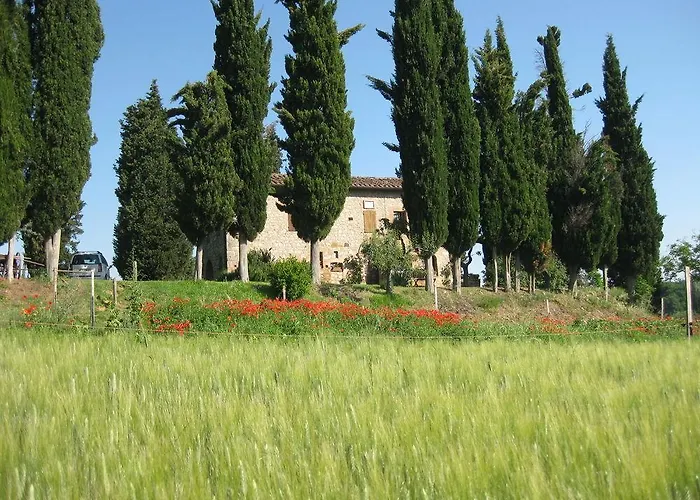 Il Caio