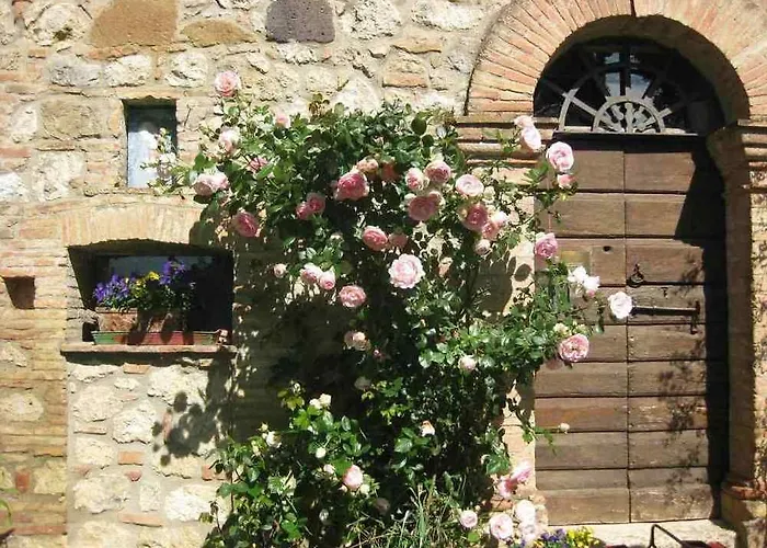 Il Caio * Cetona